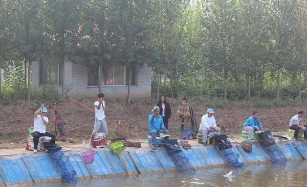 5h和6h的鱼竿有什么区别