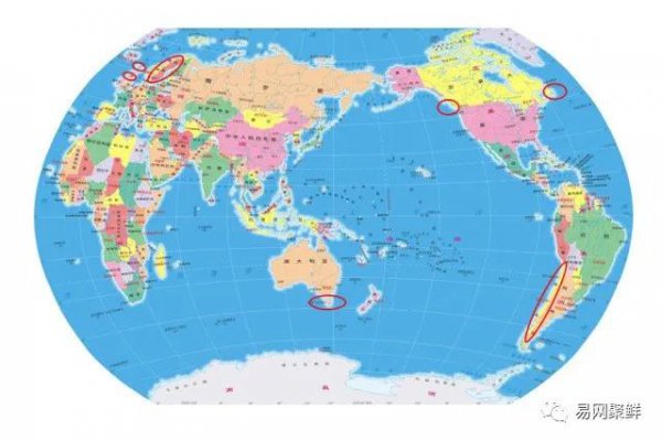 金枪鱼和三文鱼的区别图片