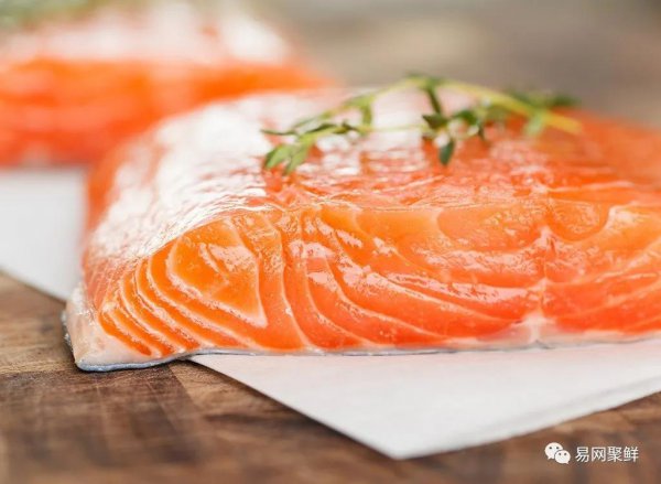 金枪鱼和三文鱼的区别图片