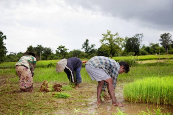 老挝有多少人口和面积