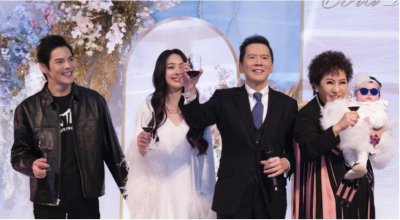 向华强有几个孩子 和两任老婆丁佩和陈岚分别有几个子女