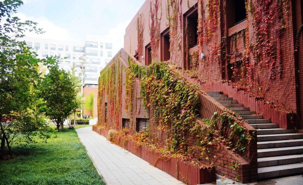 白敬亭哪个大学毕业的