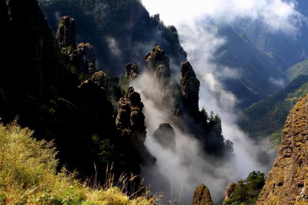神农架野人是否存在