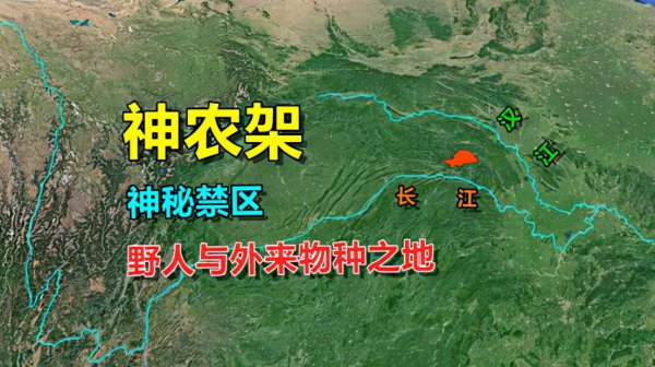 神农架野人是否存在