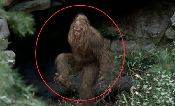 神农架野人是否存在