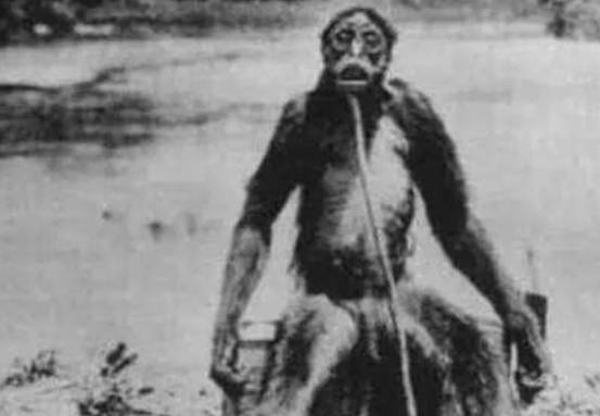 神农架野人是否存在