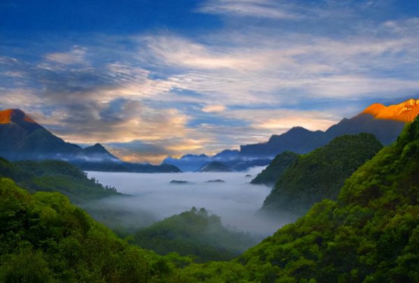 神农架野人是否存在