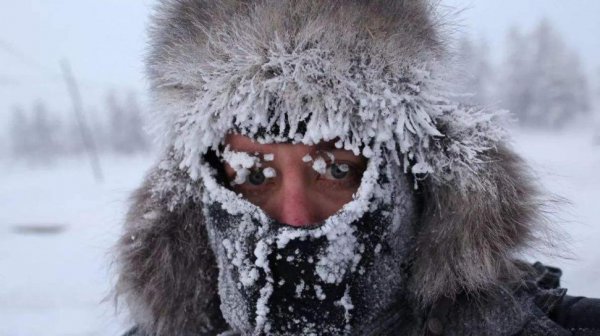 全球最冷的地方是哪里