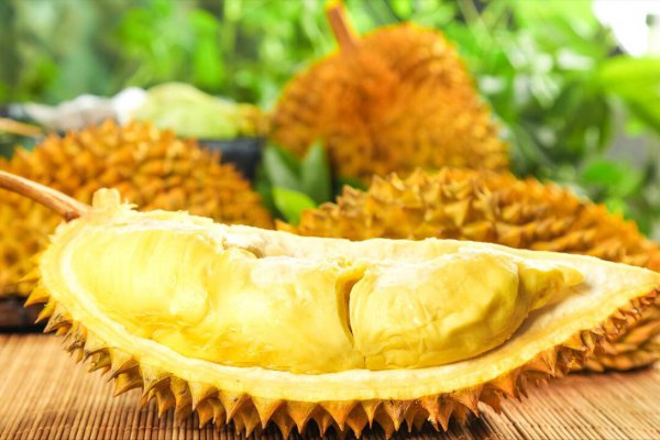 托曼尼榴莲和金枕头哪个好吃