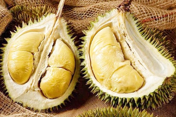 托曼尼榴莲和金枕头哪个好吃