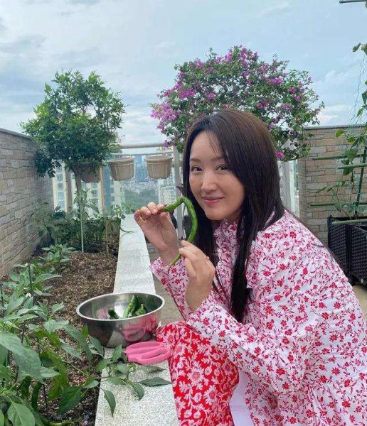 歌手杨钰莹结婚了吗