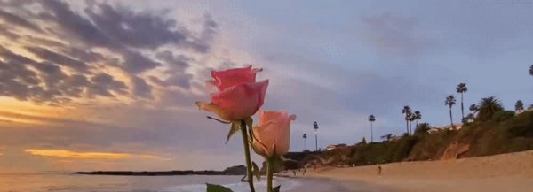 白象方便面是哪国的企业