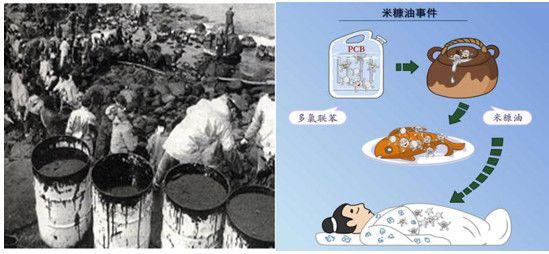 二恶英是什么东西