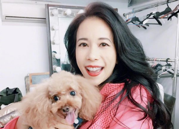 冯德伦为什么敢娶舒淇