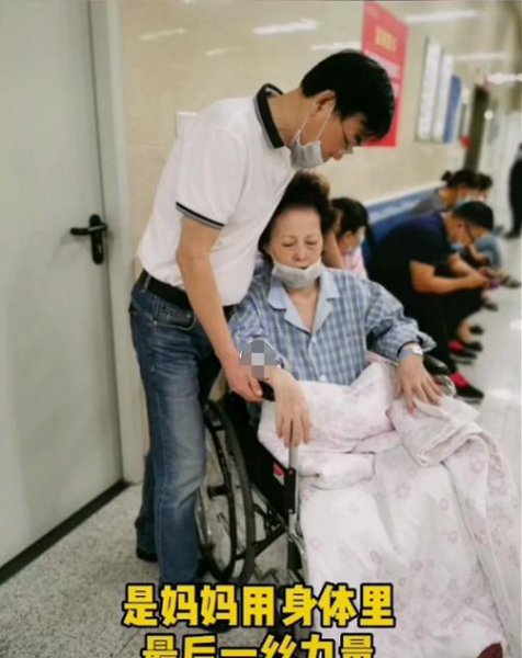 主持人余声个人资料简介