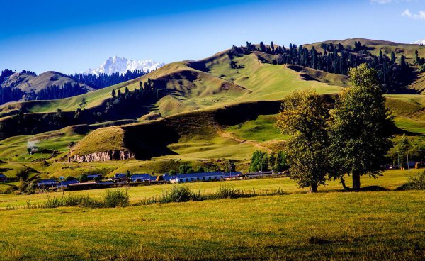 中国最大的城市排名