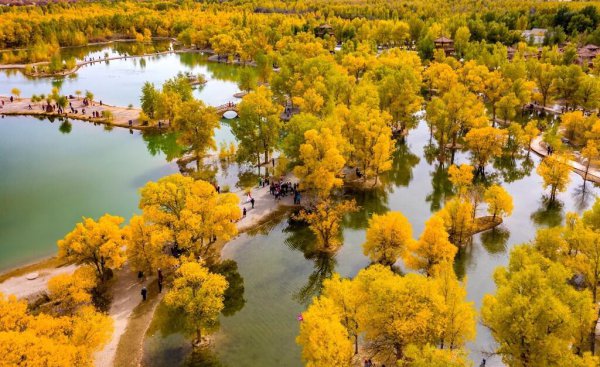 中国最大的城市排名