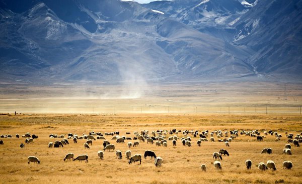 中国最大的城市排名