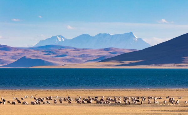 中国最大的城市排名