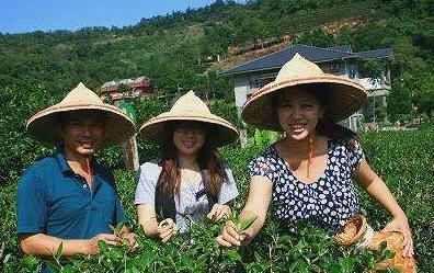 台湾总人口有多少人