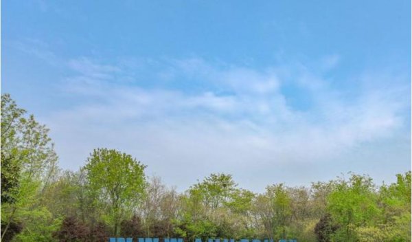 安徽大学排名为什么越来越低