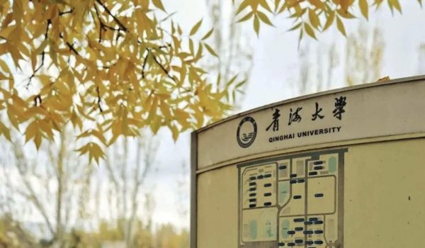 为了211选青海大学值吗