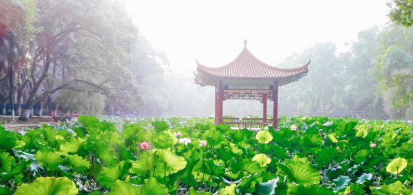 四大工学院哪个最好