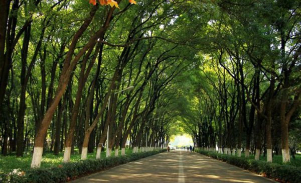 四大工学院哪个最好