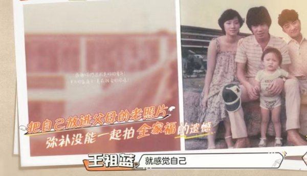 王祖蓝个人资料简介及家世