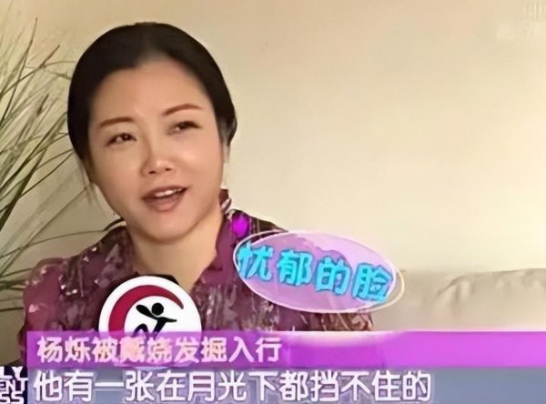 演员杨烁的个人资料简介