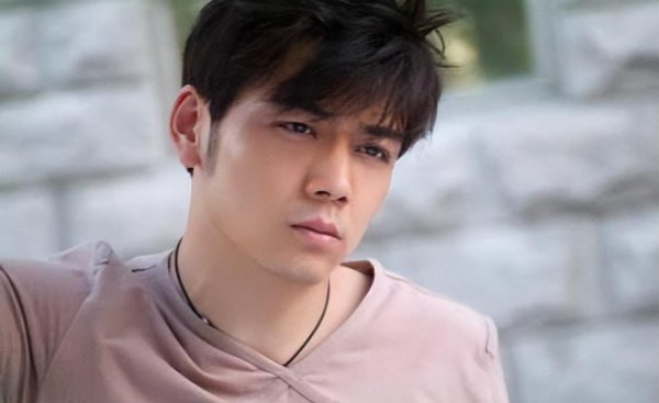 演员杨烁的个人资料简介