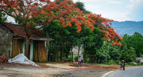 梅州属于哪个省哪个市