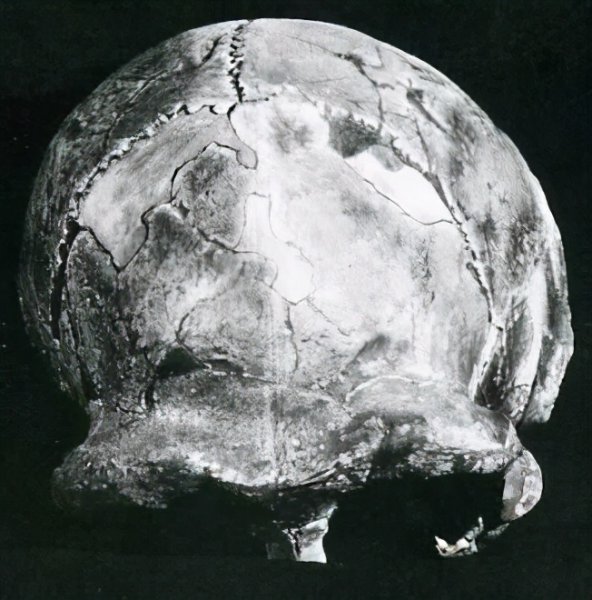 1929年中国发生了什么事件