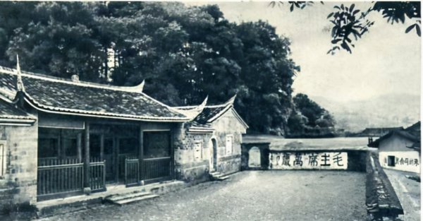 1929年中国发生了什么事件