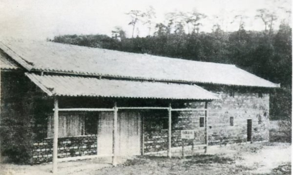 1929年中国发生了什么事件