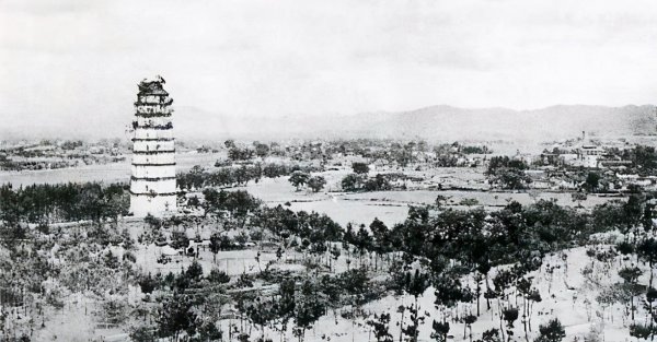 1929年中国发生了什么事件