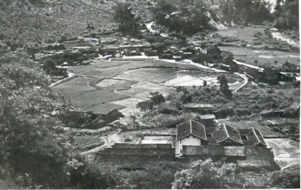 1929年中国发生了什么事件