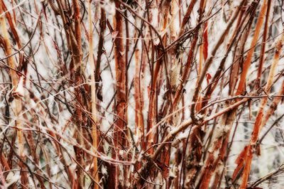 负荆请罪出自哪本书和作者 负荆请罪故事的主人公