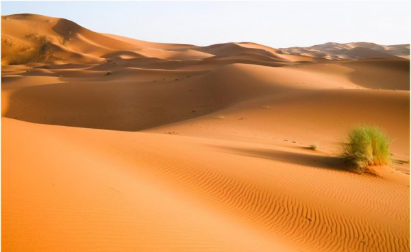 鬼吹灯中的精绝女王真实存在吗