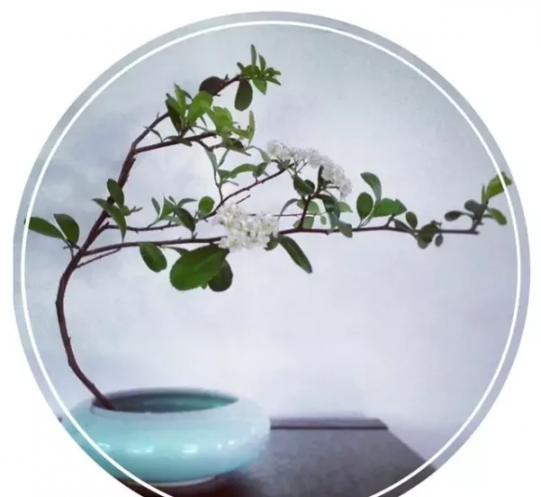 世界上最好看的汉字是什么