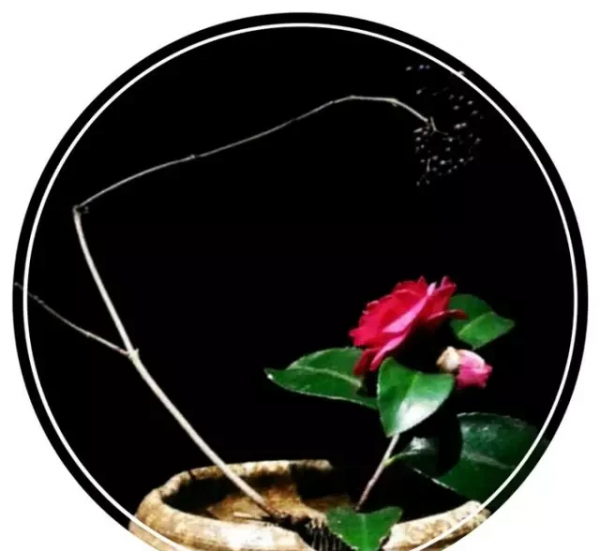 世界上最好看的汉字是什么