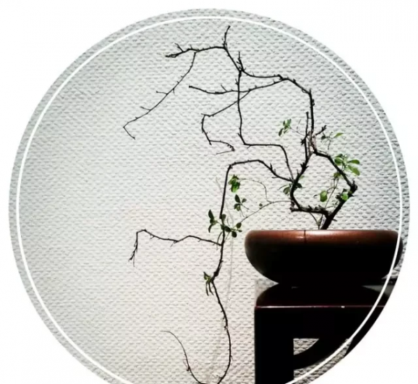 世界上最好看的汉字是什么