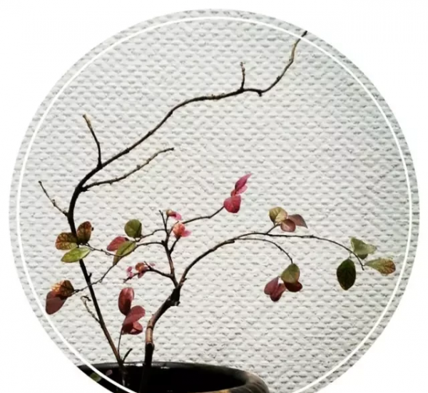 世界上最好看的汉字是什么