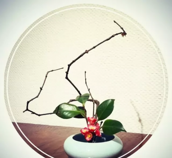 世界上最好看的汉字是什么