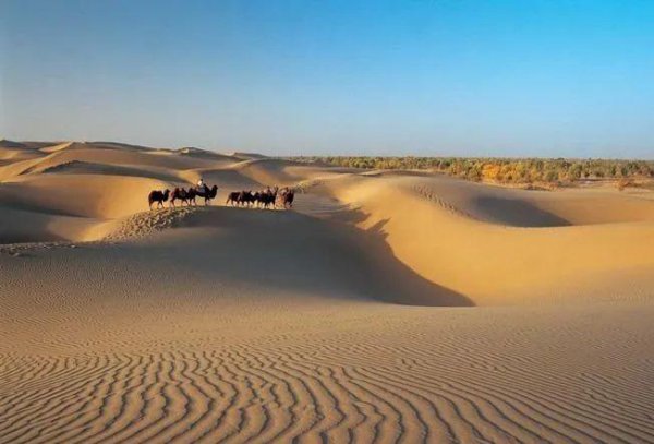 新疆的沙漠有哪些