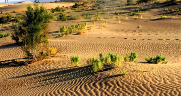 新疆的沙漠有哪些