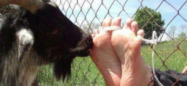 古代最奇葩的刑罚