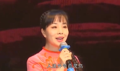 王二妮个人资料及简介