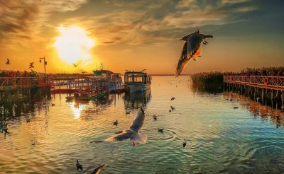 黑水城遗址在什么地方 黑水城遗址位置及好看景点介绍