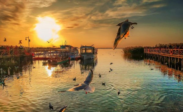 黑水城遗址在什么地方